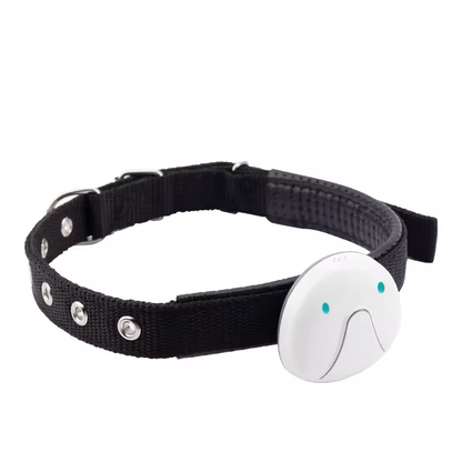 4G Smart Pet Tracker Real-Time GPS Location