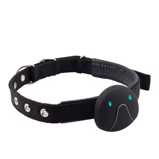 4G Smart Pet Tracker Real-Time GPS Location