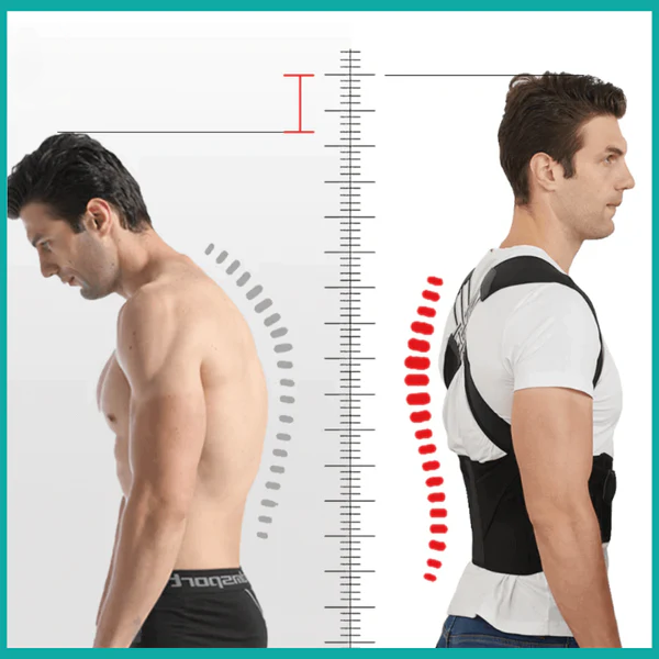 Posture Corrector Belt