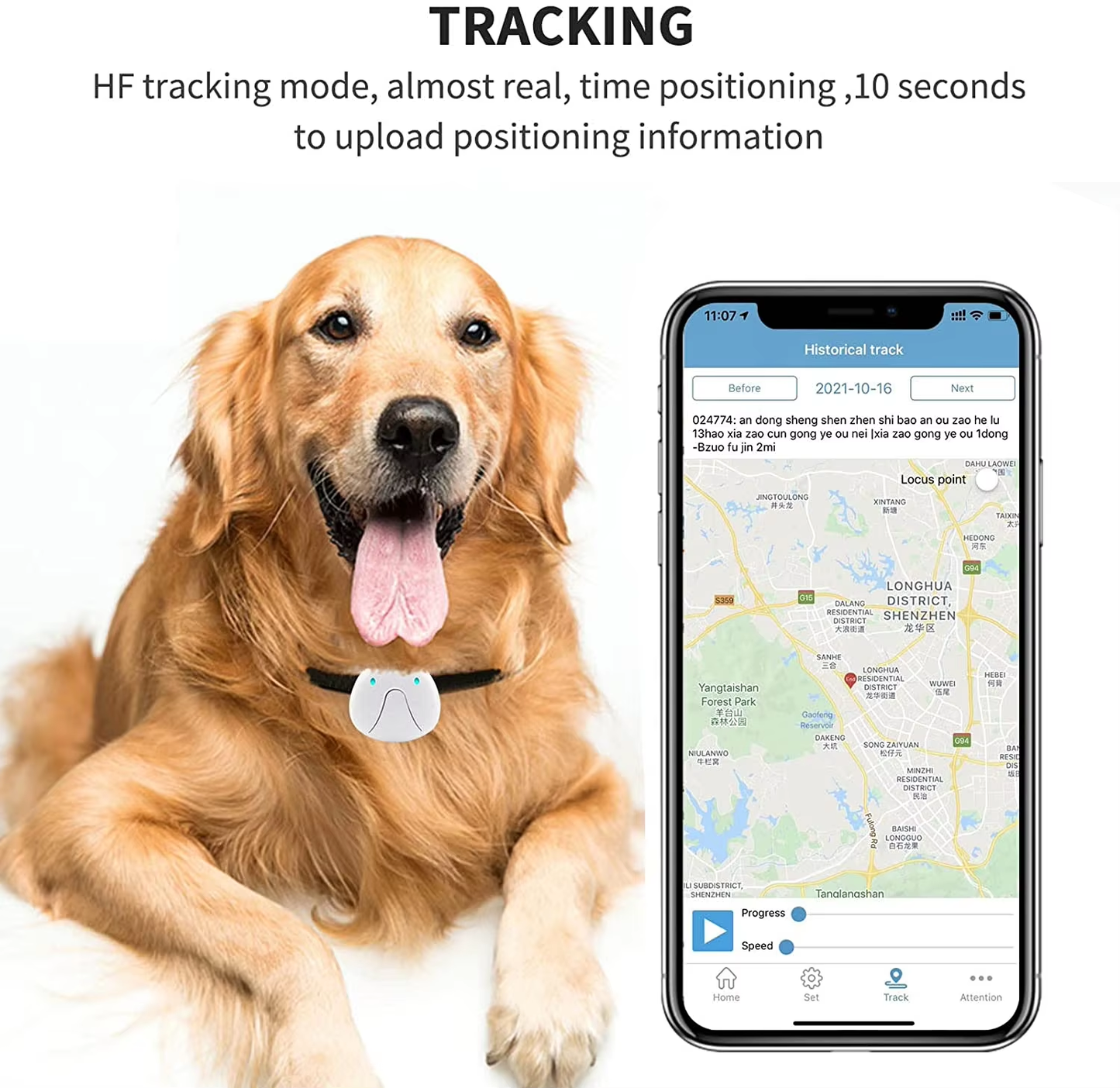 4G Smart Pet Tracker Real-Time GPS Location